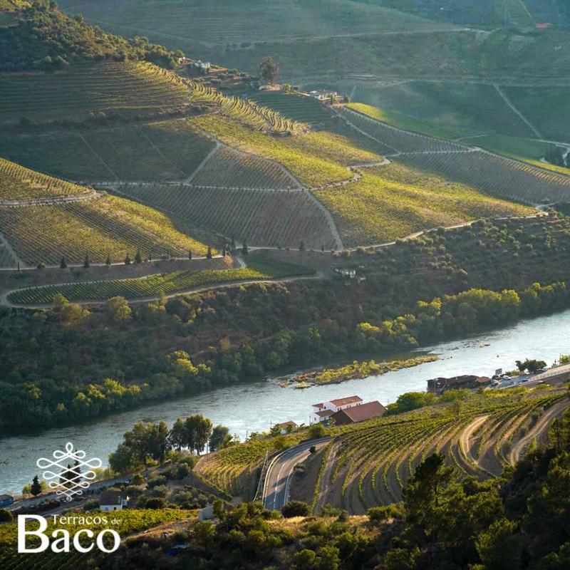 Вілла Terracos De Baco Ribalonga Екстер'єр фото